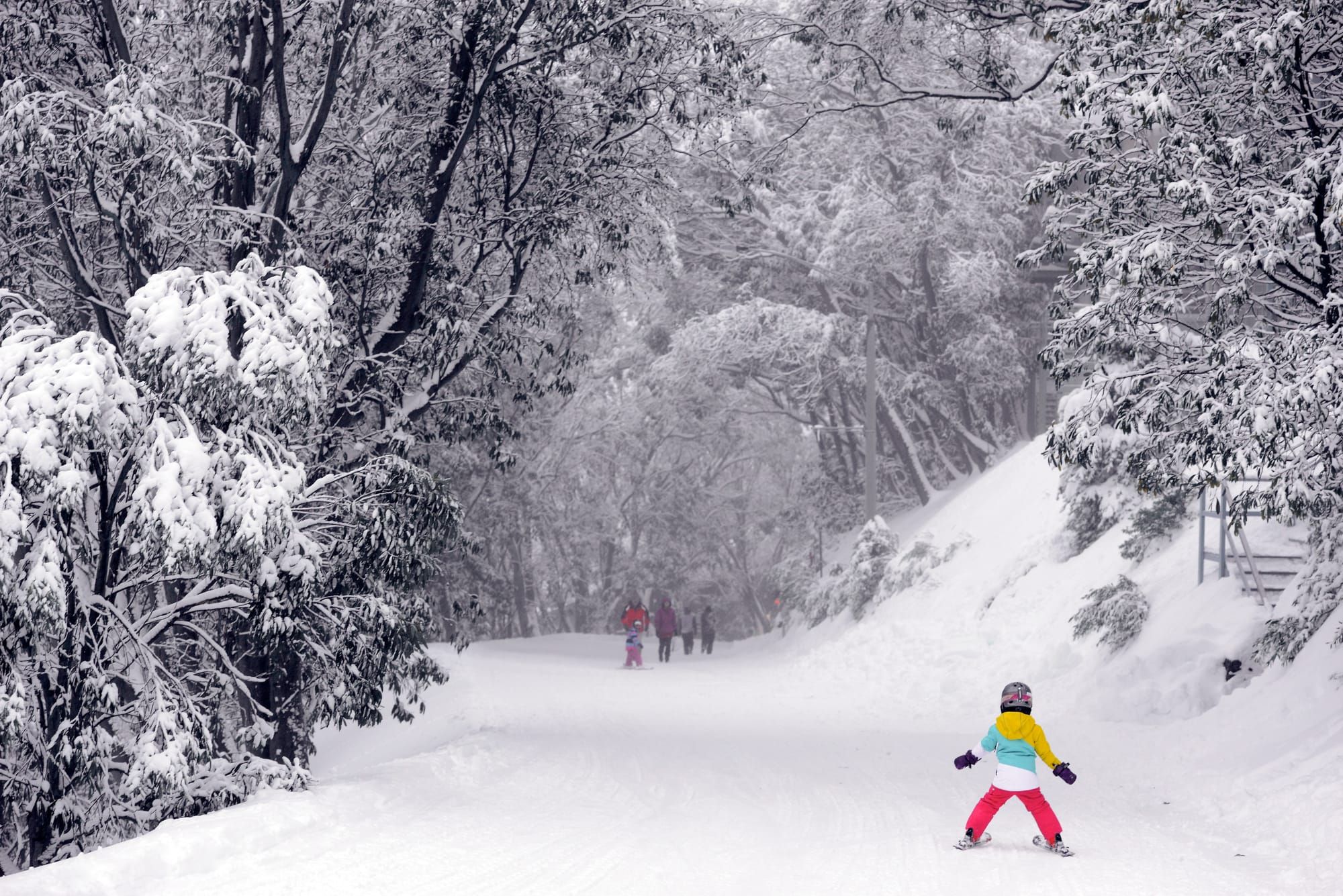 Top tips for visiting Falls Creek in 2022 Post image