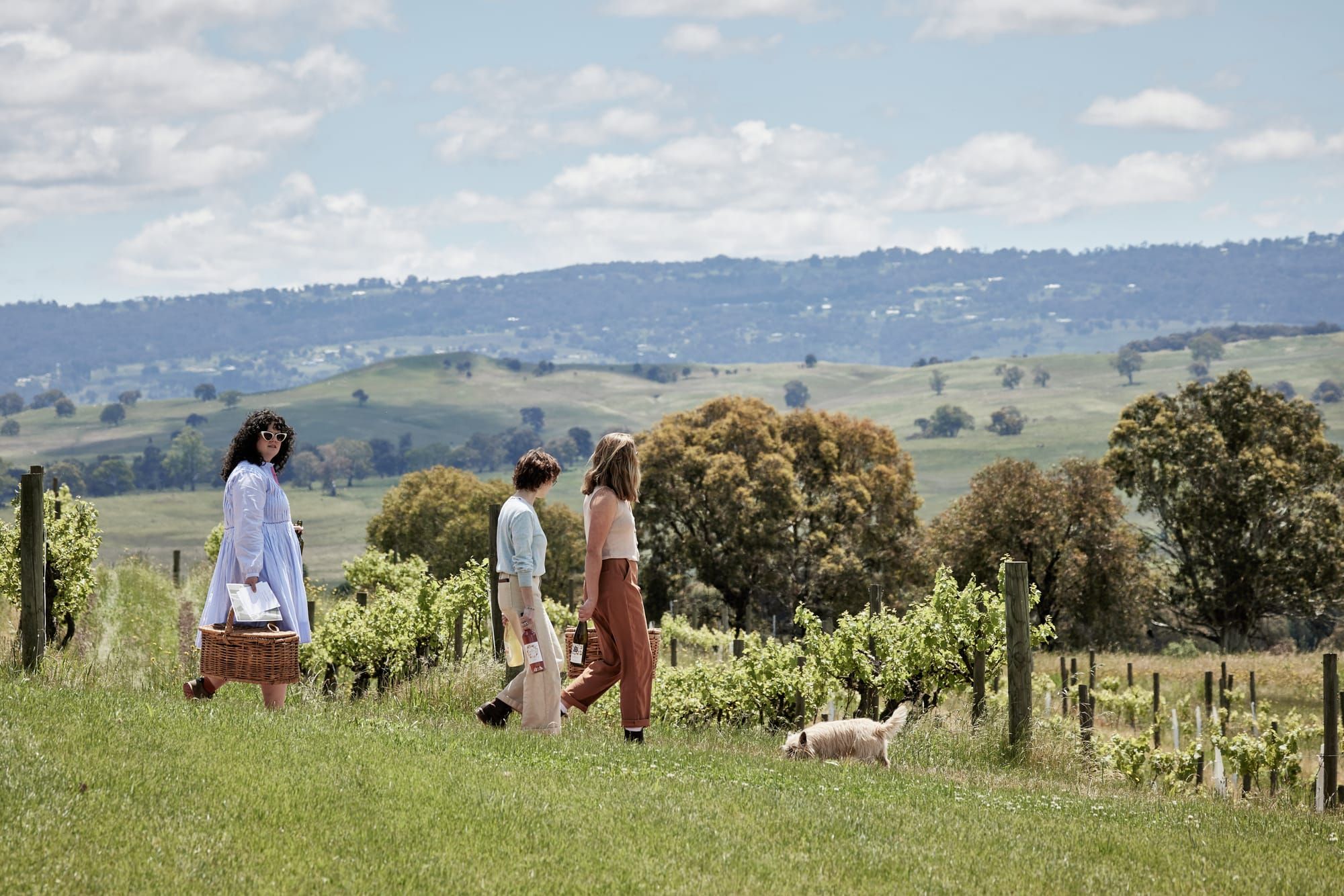 Picnics with a view at Delatite Winery Post image