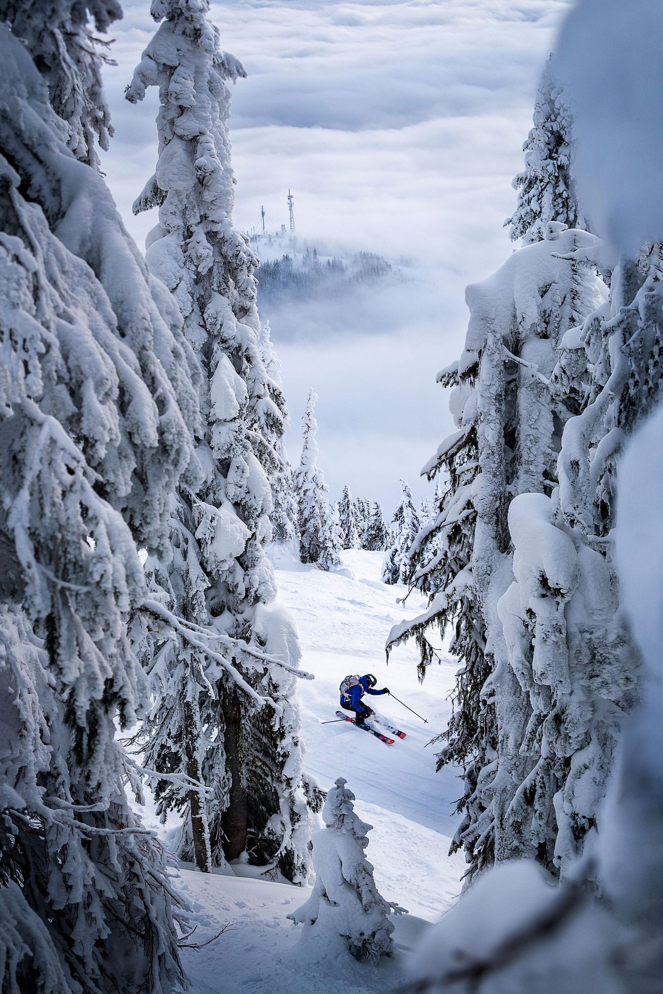 Elevate your ski experience in British Columbia, Canada Post image