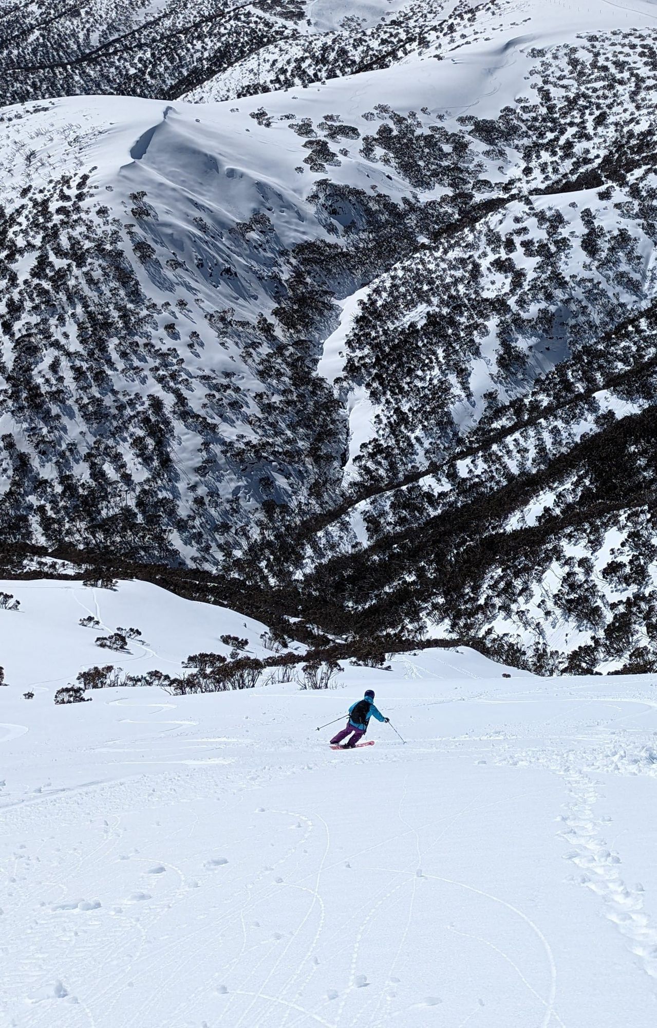 Spilling the Beans – Classic Hotham Sidecountry Descents Part 3 Post image