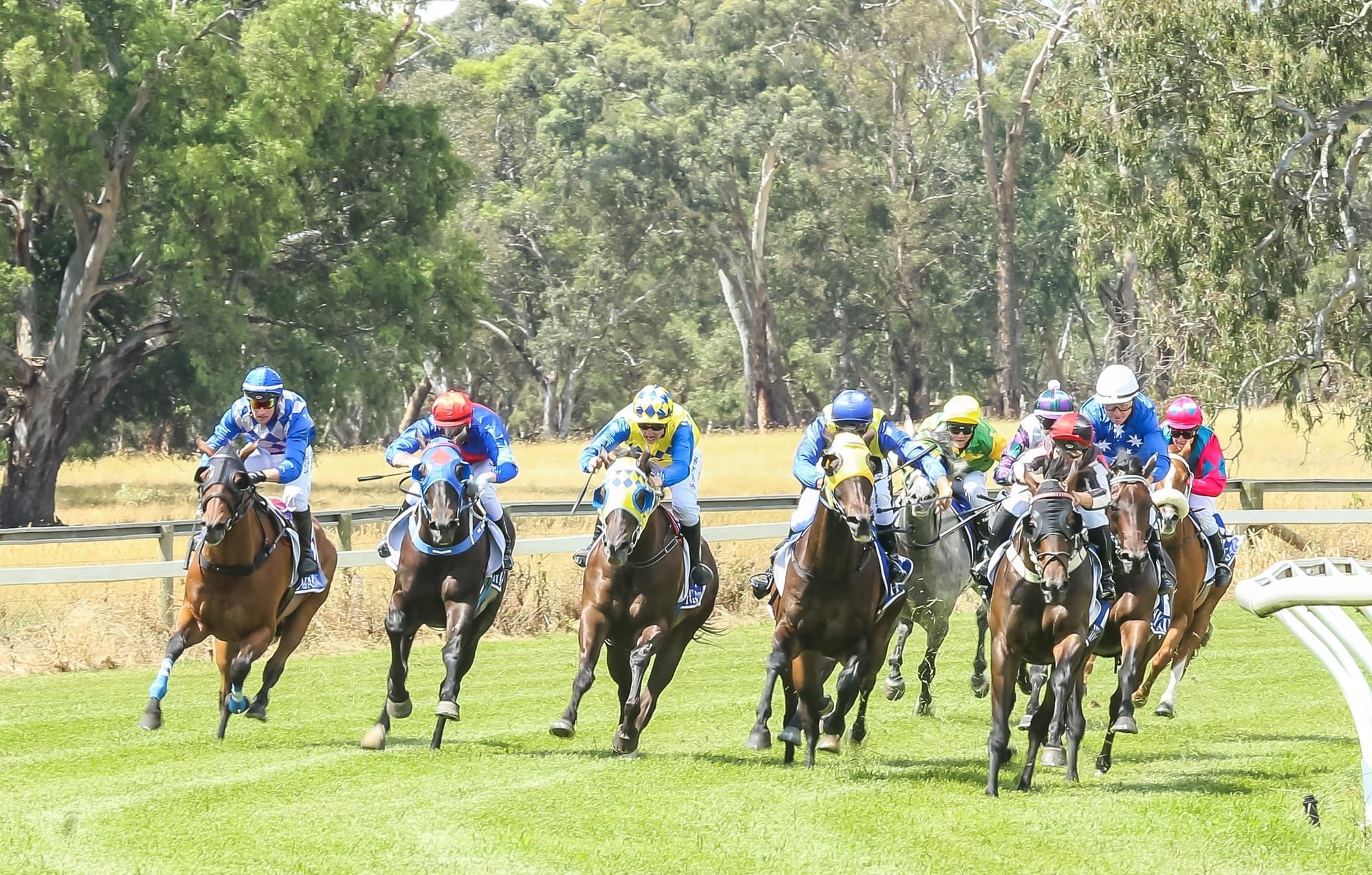 Summer racing in the High Country Post image
