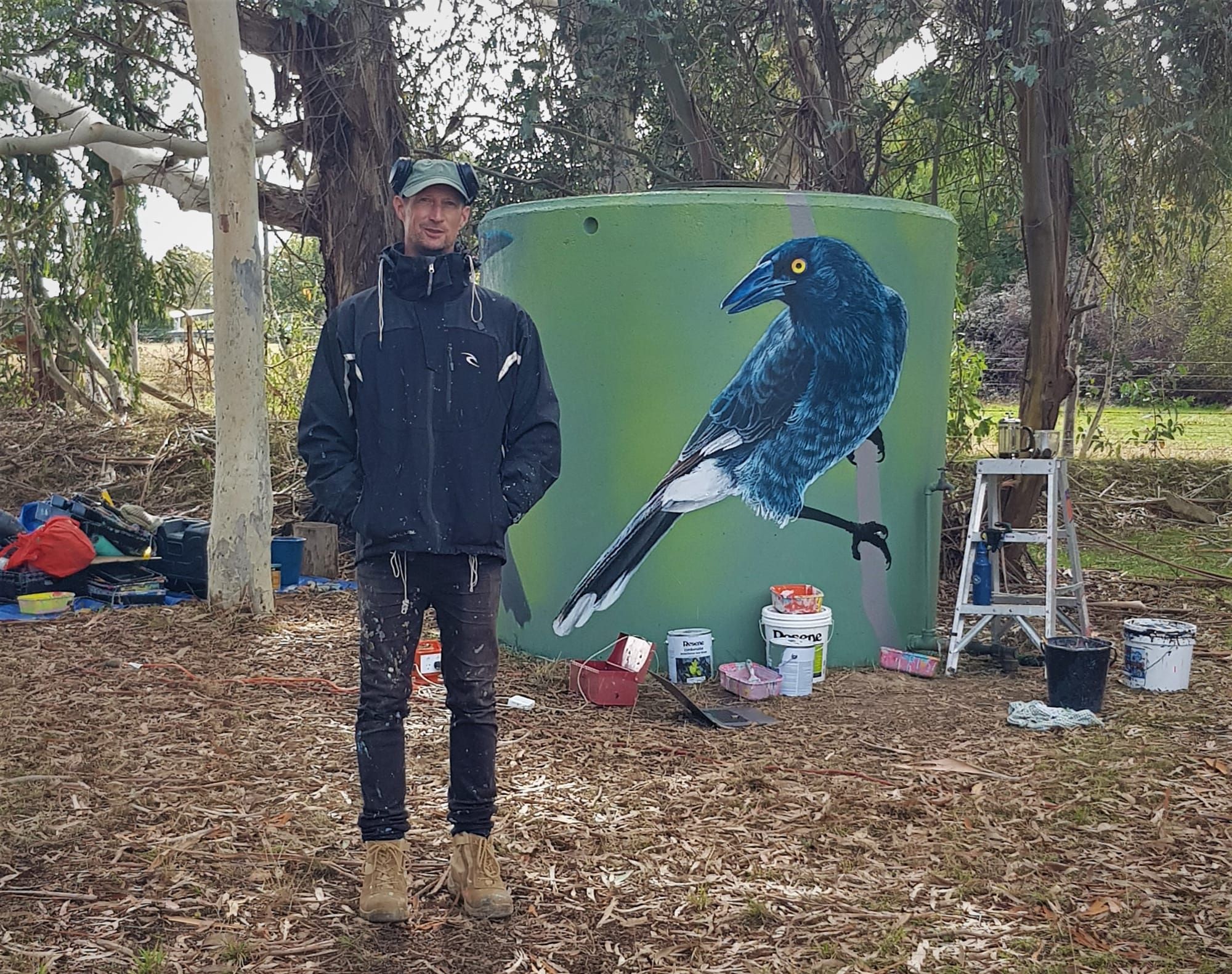 Currawong joy in the paddock Post image