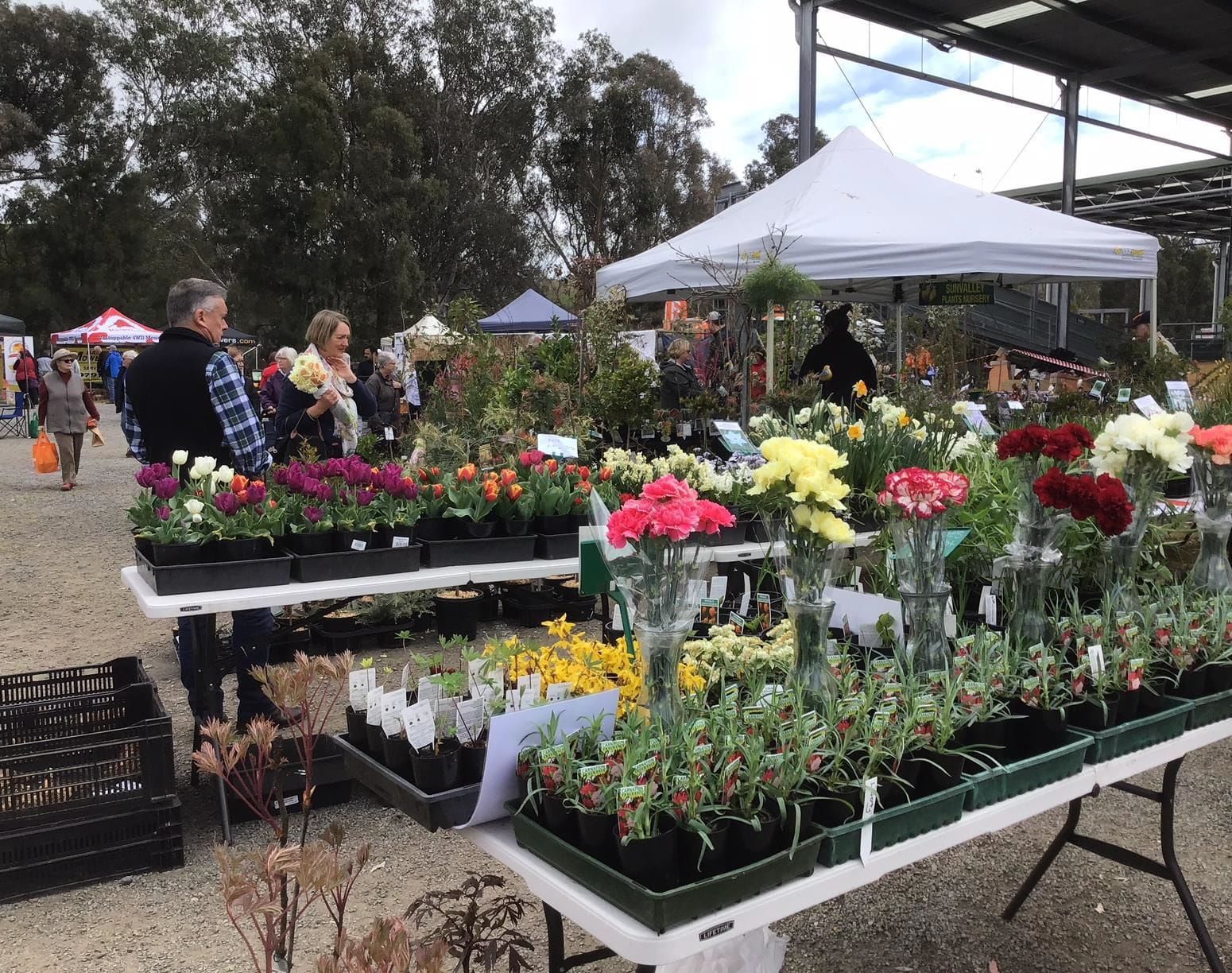 A gardener's delight in Yea Post image
