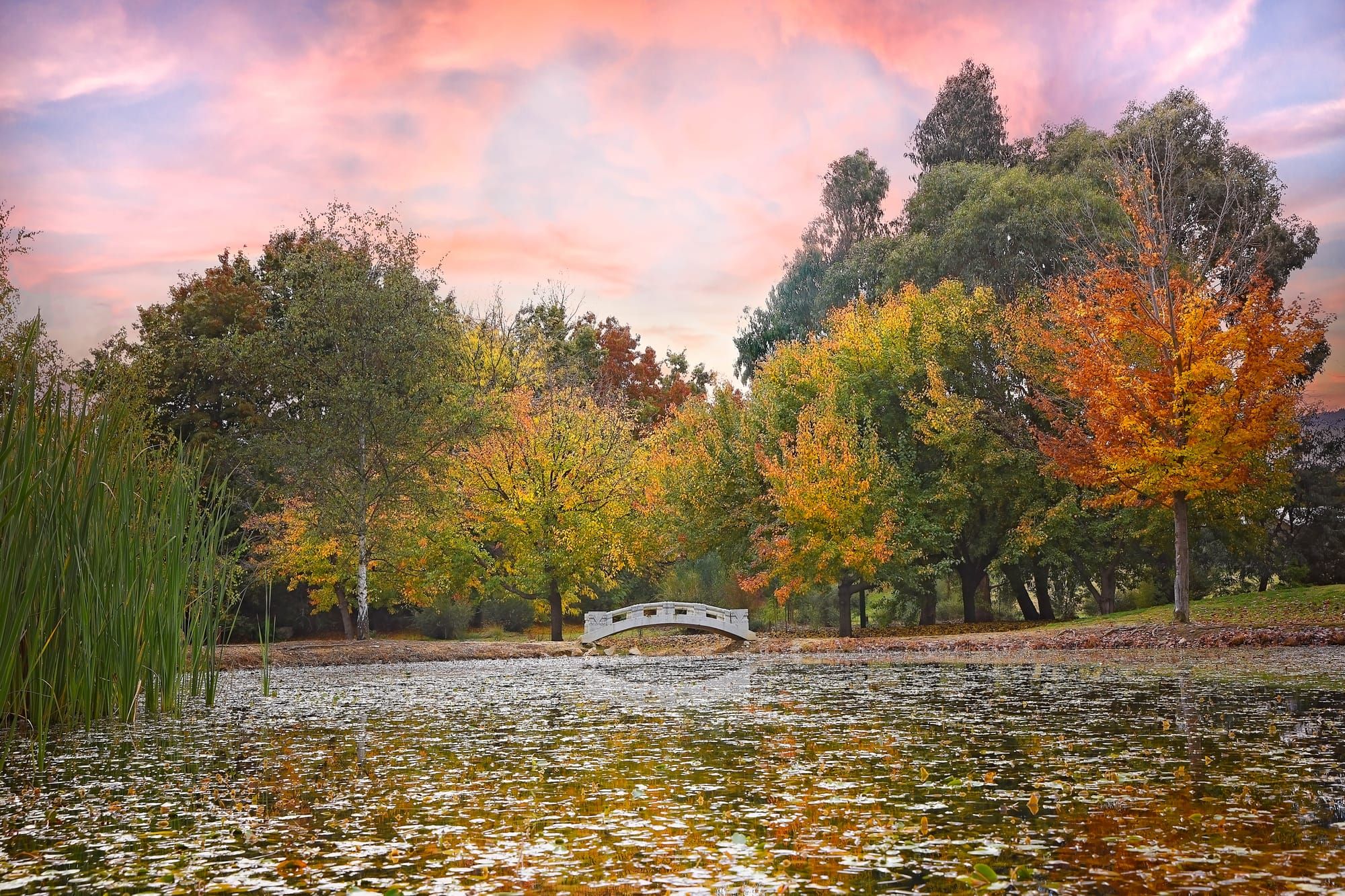 The brilliance of Beechworth Post image