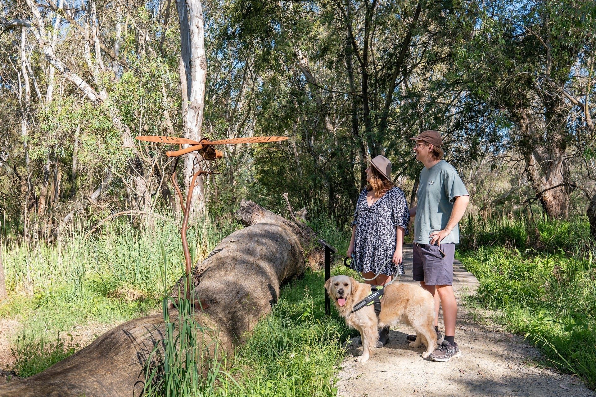 Discover the Yea Wetlands this spring Post image