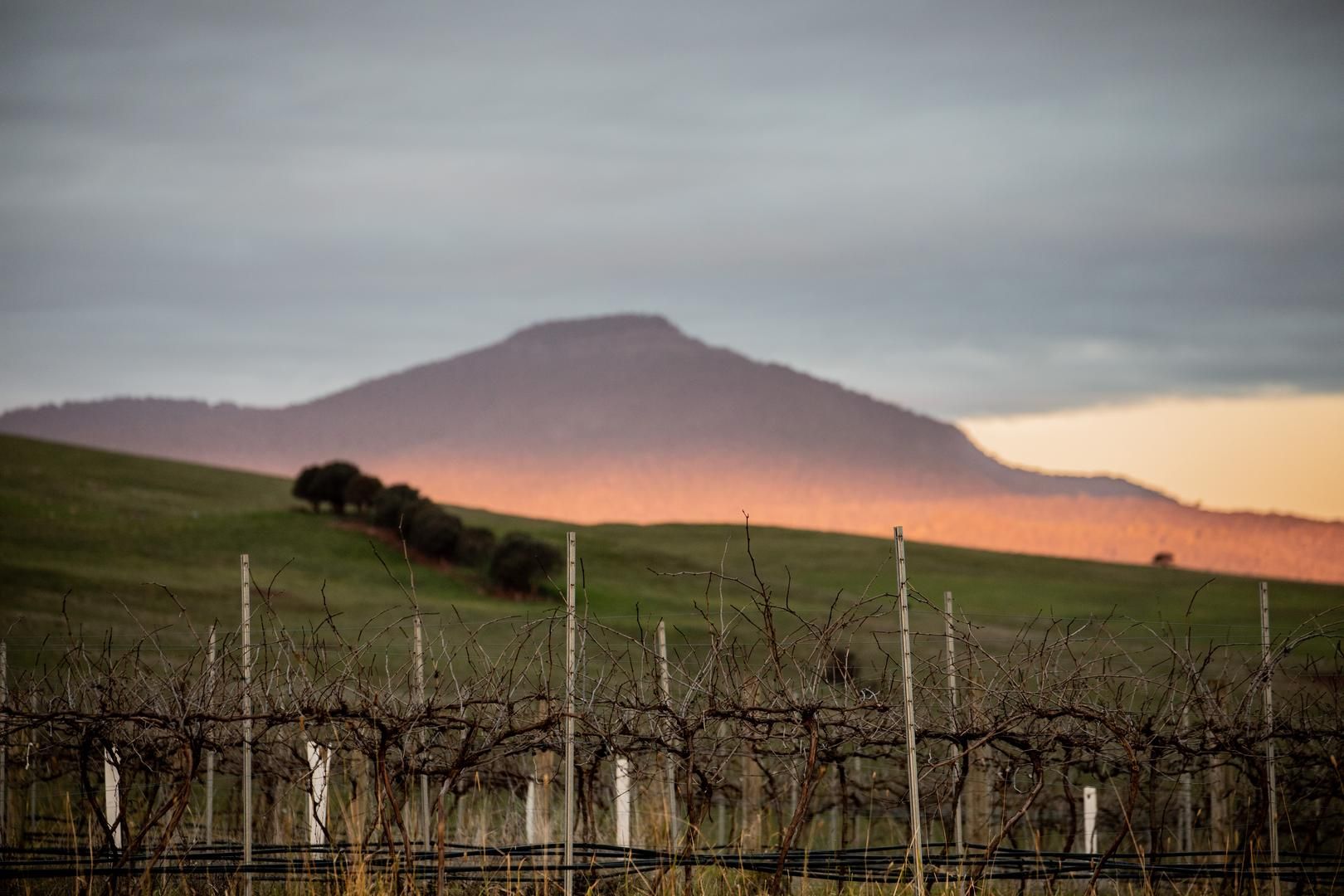 Echuca - Cobram Post feature image