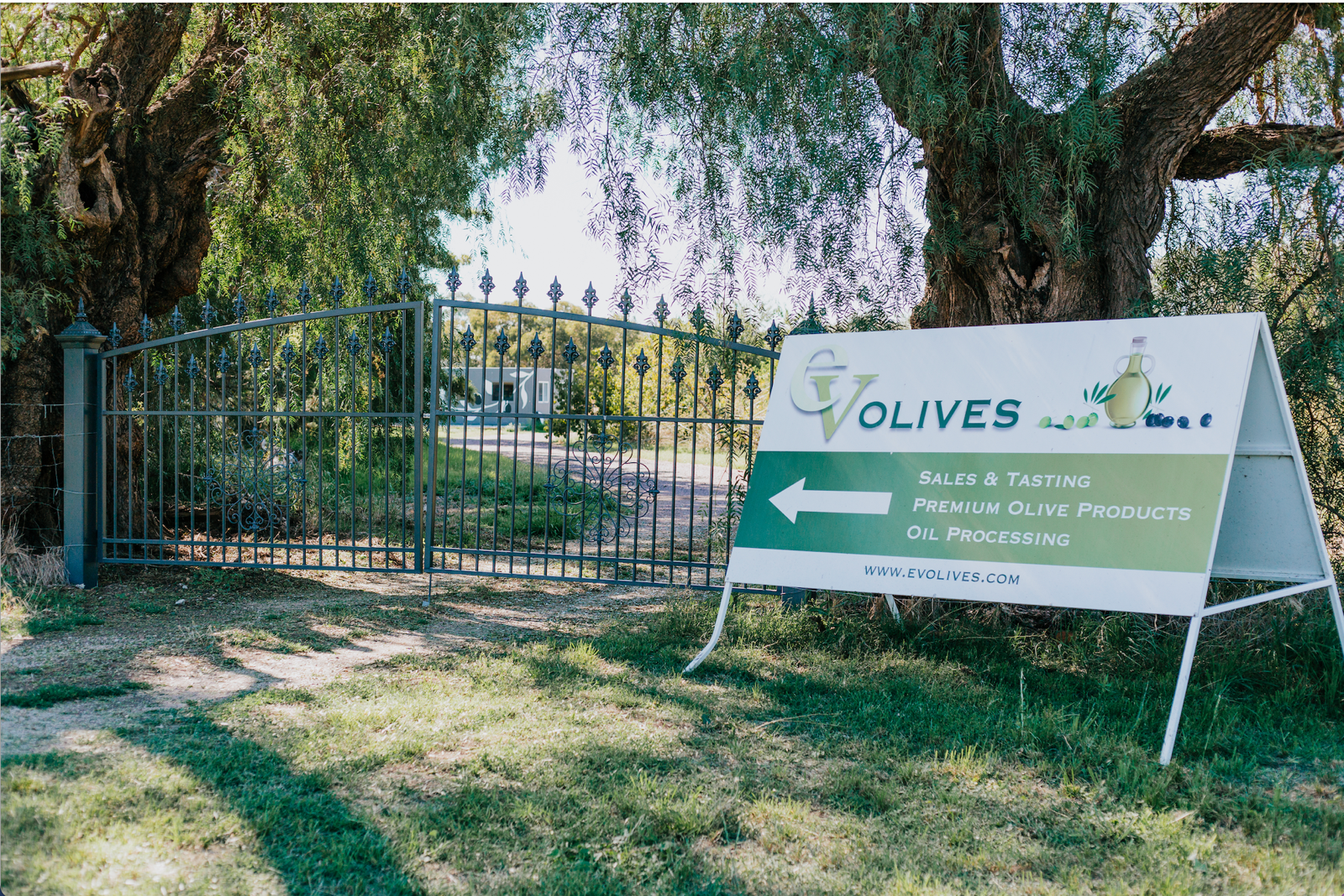 EV Olives Post feature image