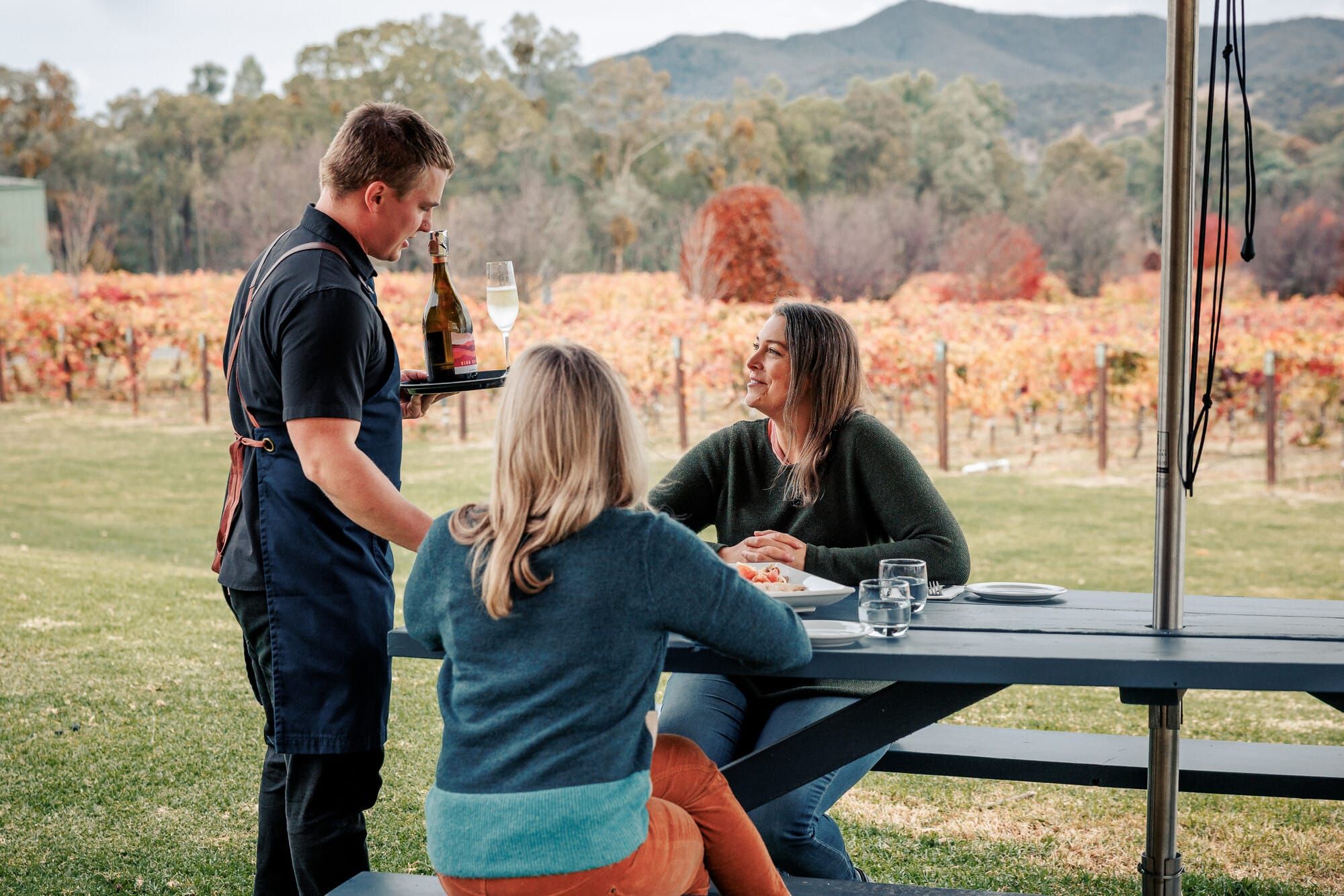 Immerse yourself in a sensory experience at Gapsted Estate Post feature image