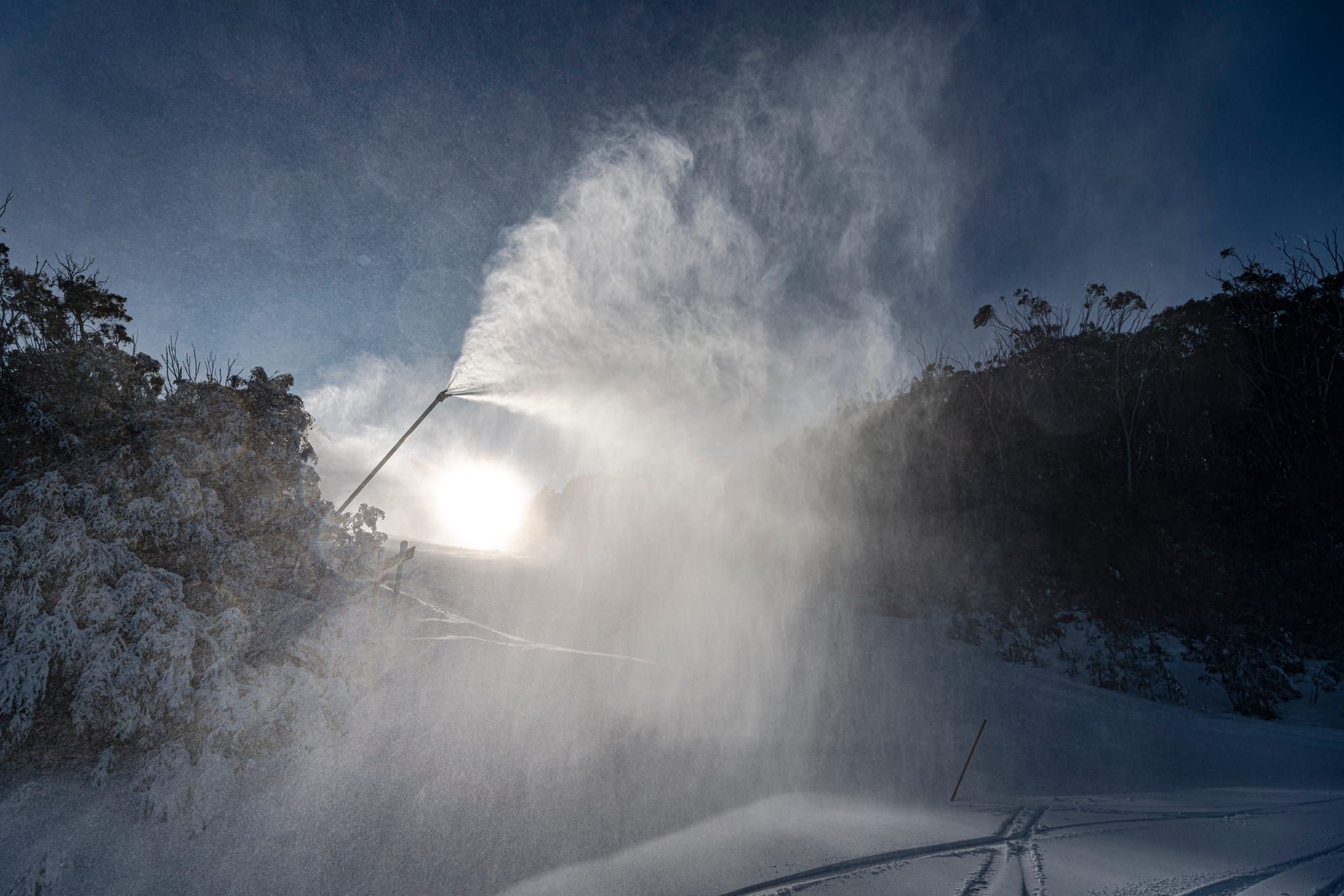 Improvements to power and parking on Buller Post feature image
