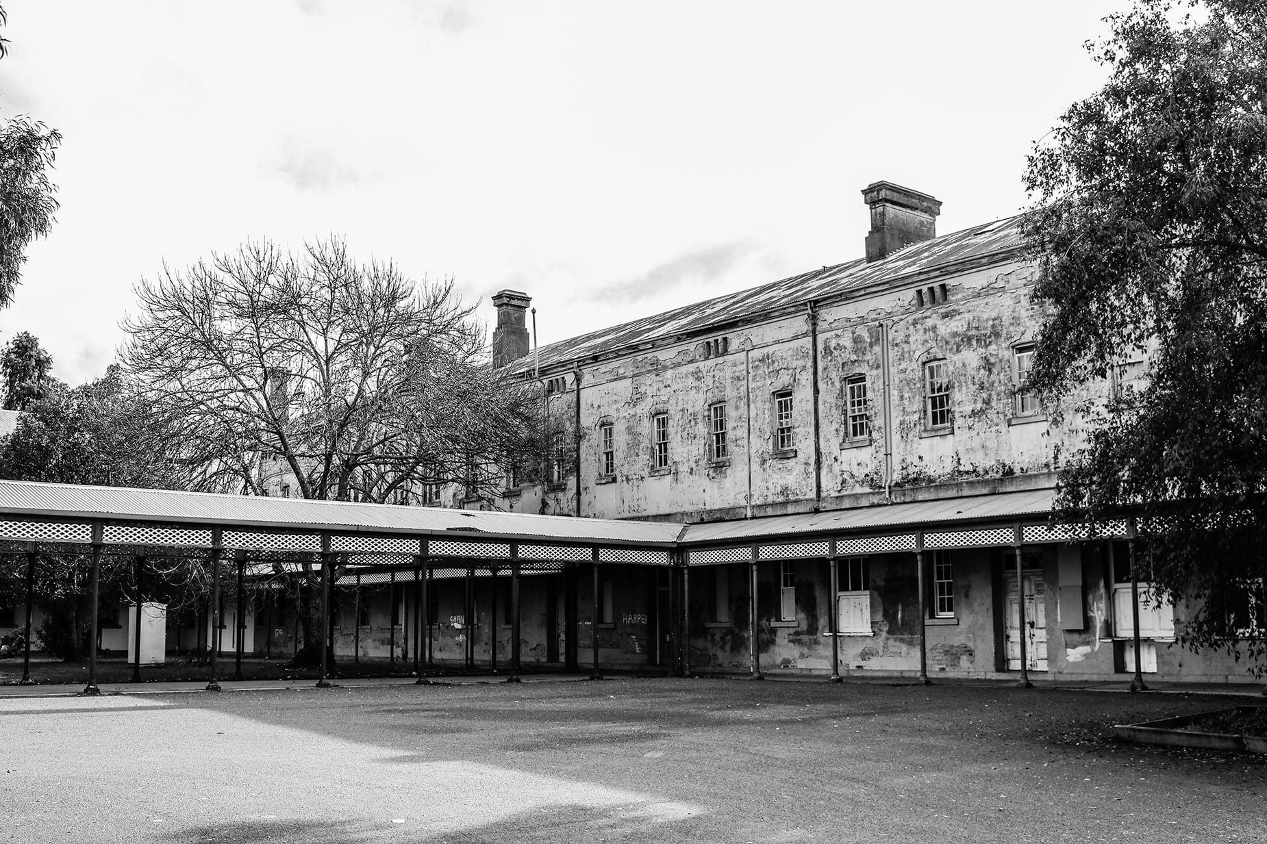 Discover the secrets and those still haunting the 'Lion of Beechworth' Post feature image