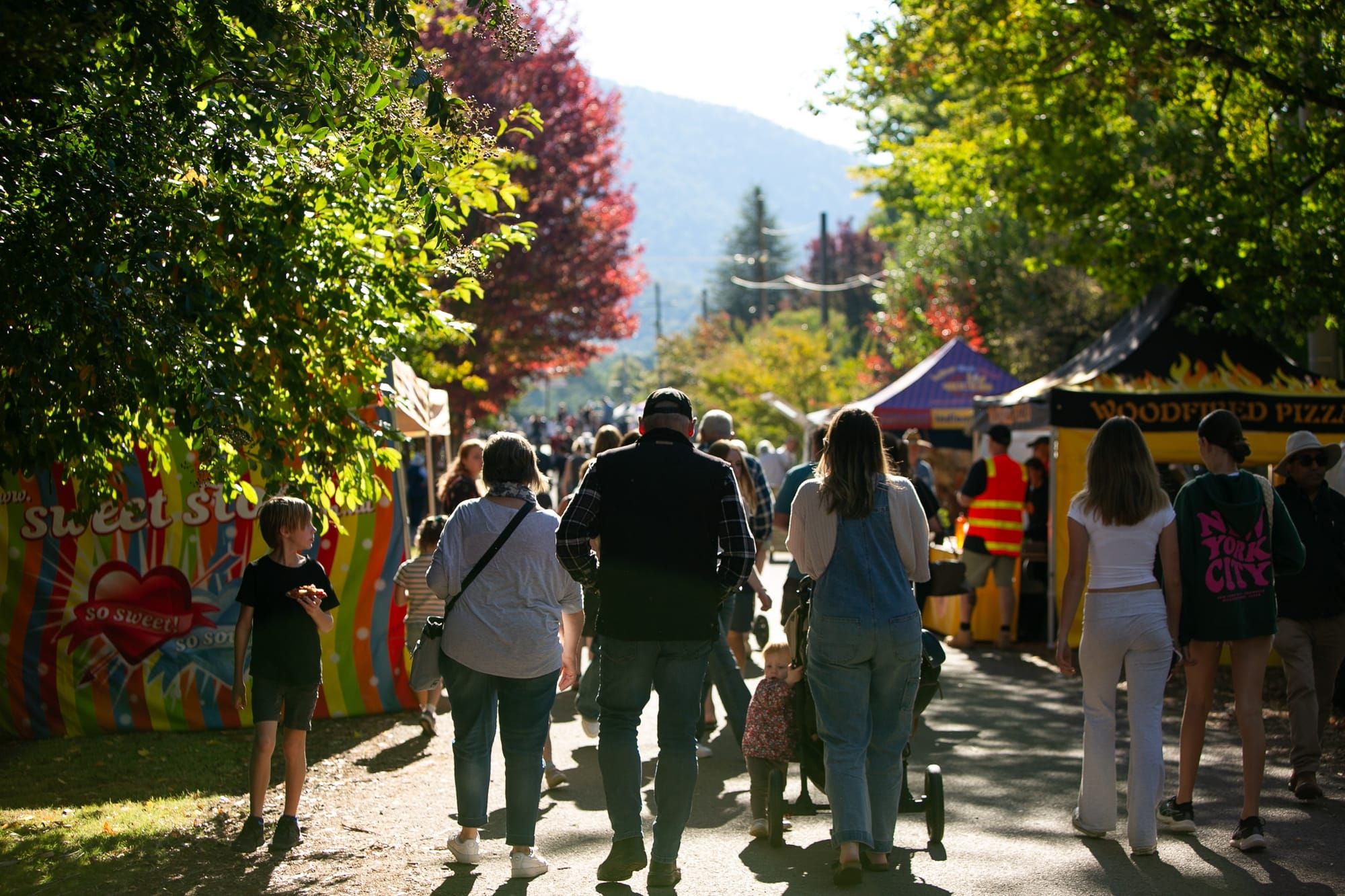 Golden hues and High Country harmonies Post feature image