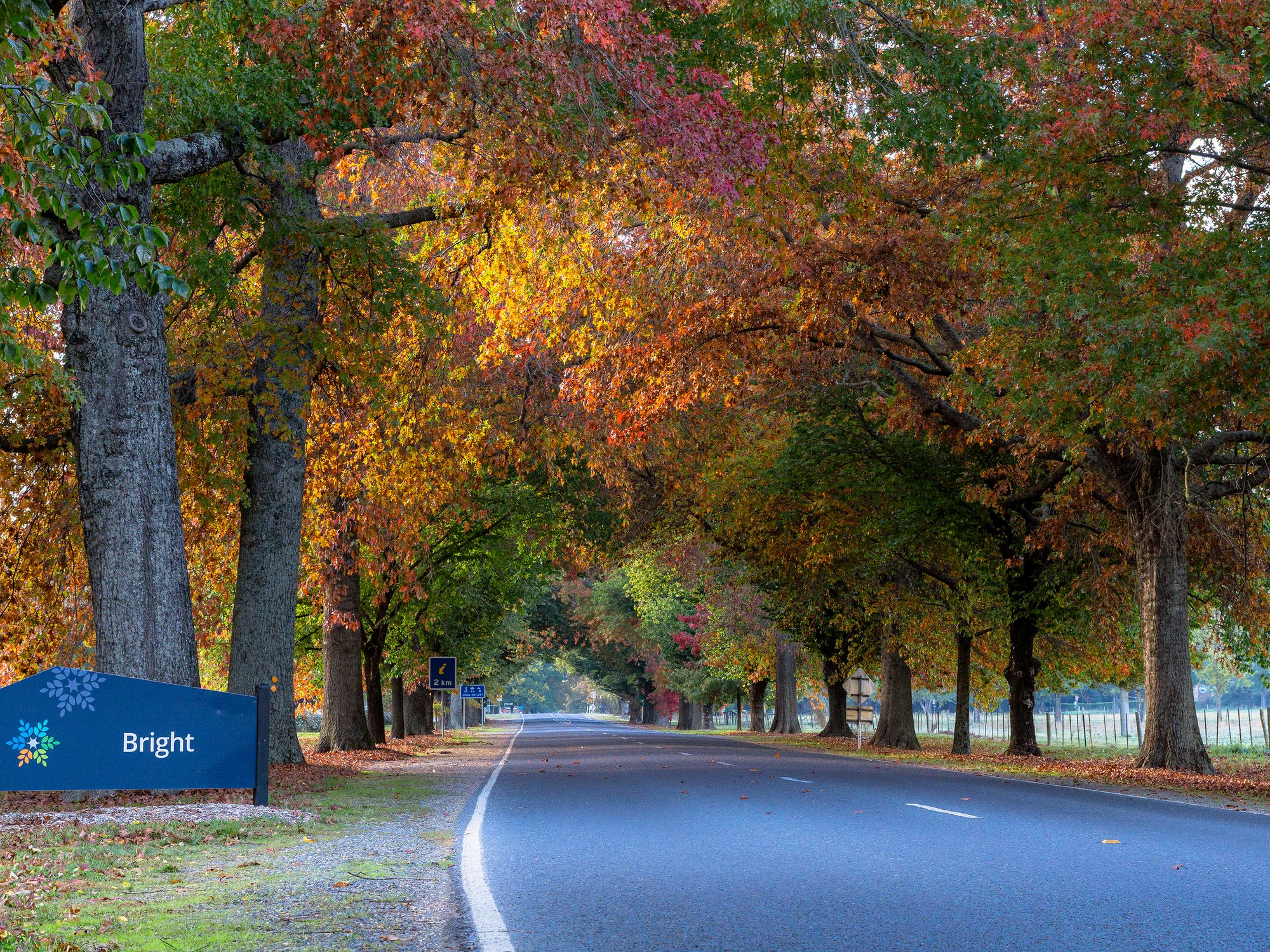 Bright – Porepunkah - Harrietville Page image