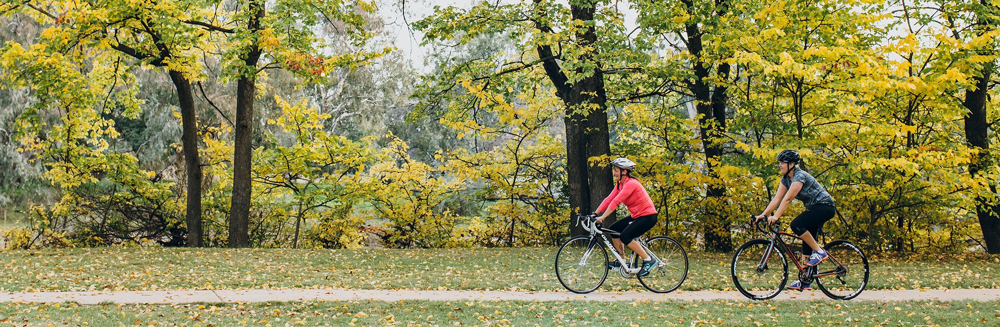 Euroa - Longwood - Strathbogie Page image