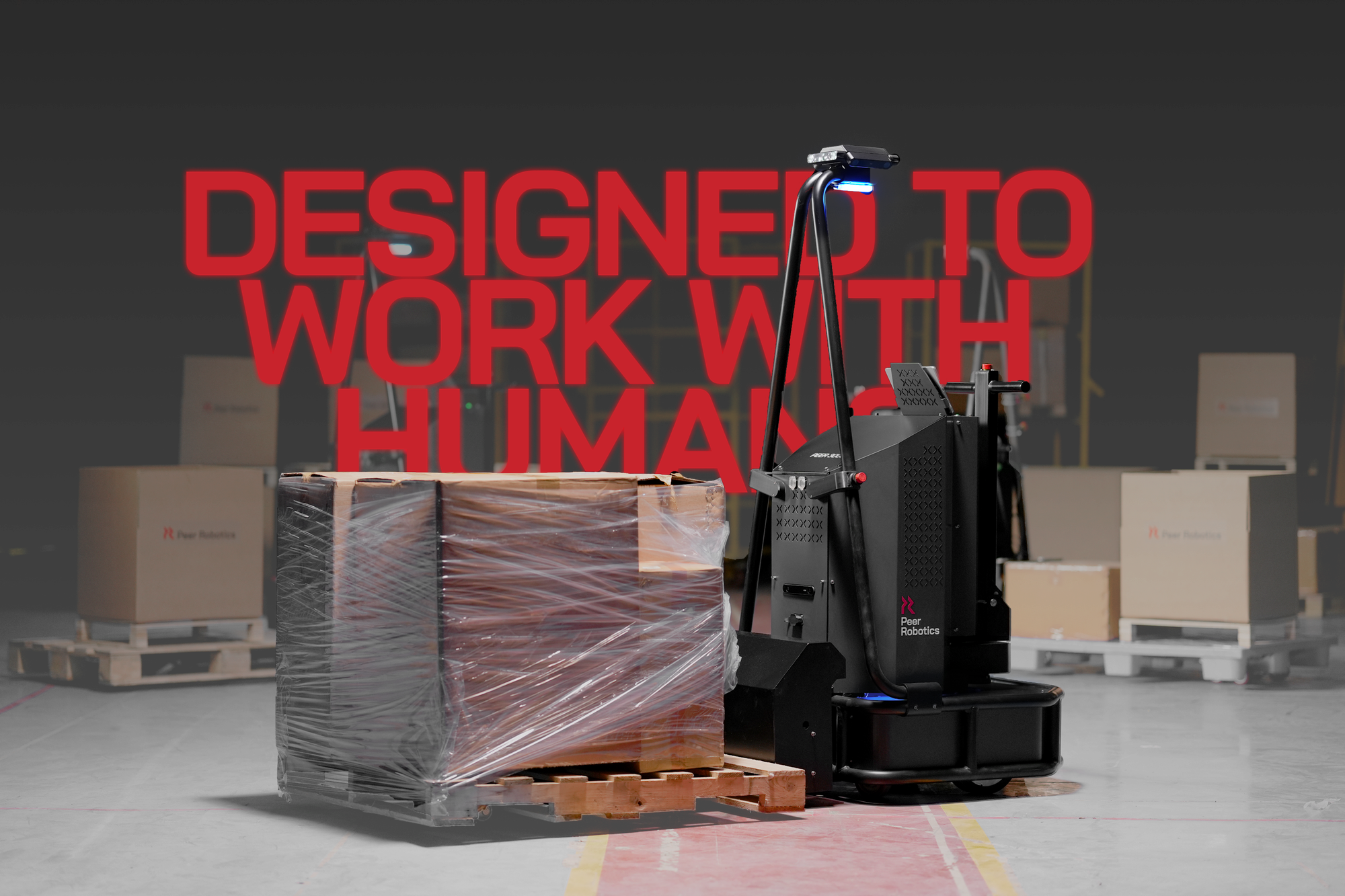 Peer Robotics