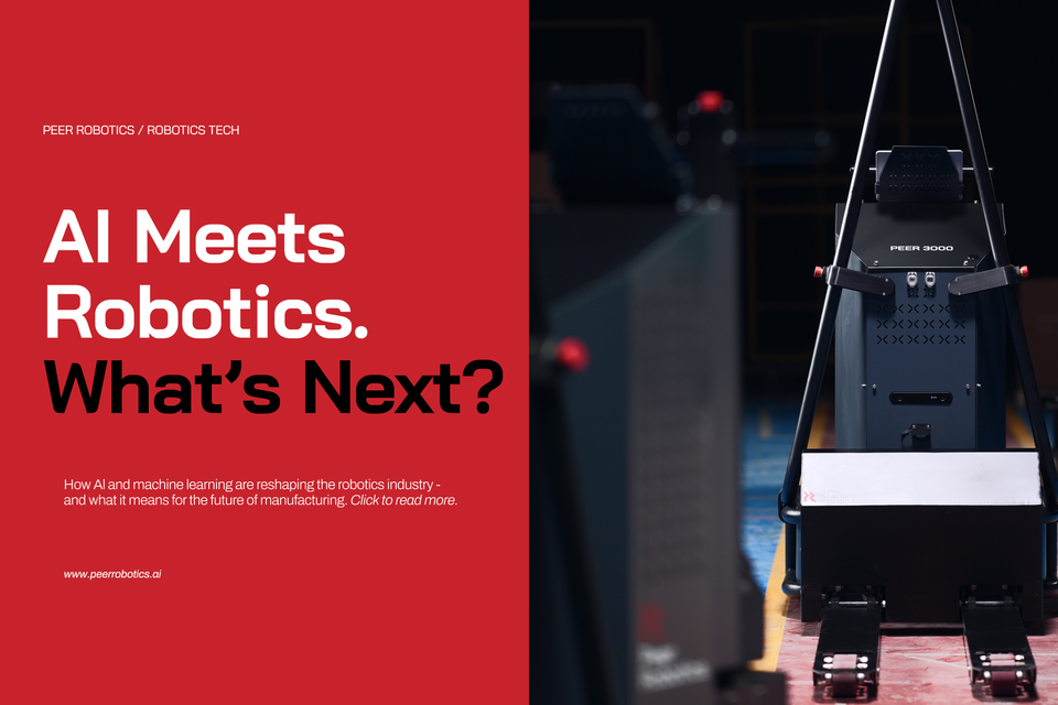 The Robotics Revolution: