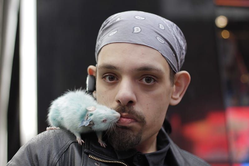 Who loves 'spicy garbage' more: you or the rats?