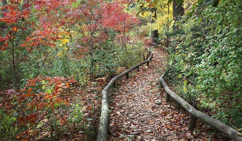 5 perfect-for-fall NYC museums