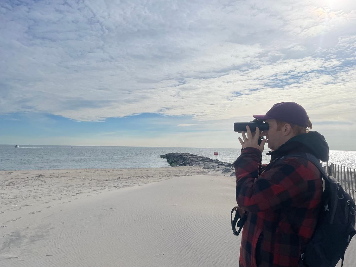 In 'Bird City,' looking up isn't just for tourists