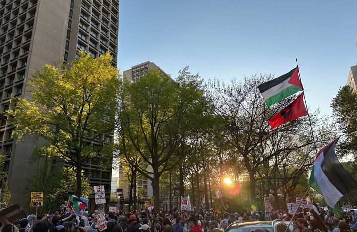 The 2024 guide to NYC protest safety