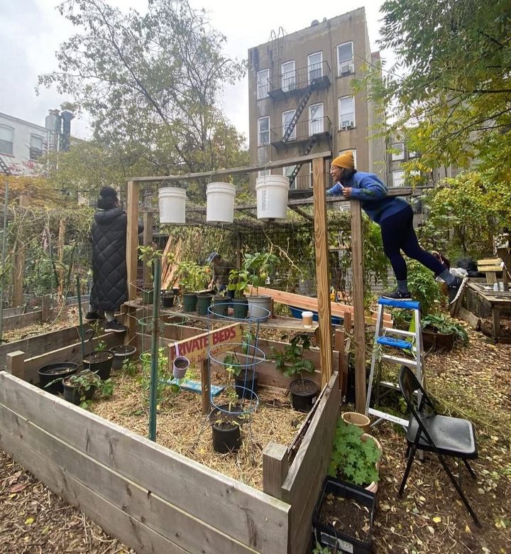 Get off the Internet: Why joining a community garden might fix your brain