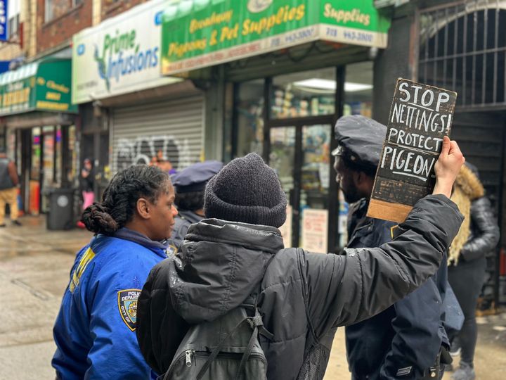 The ‘pigilante gang’ takes on an alleged BK pigeon thief