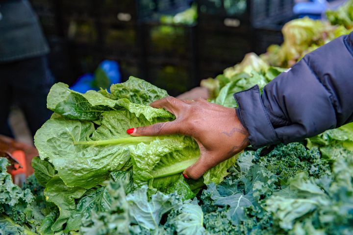 GrowNYC is shrinking and needs your help