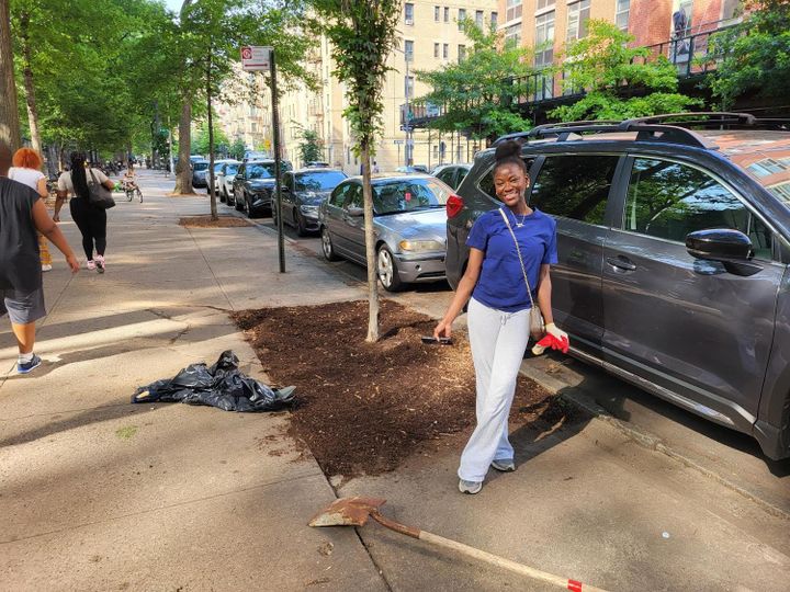 City of Forest Day shows how to be a good tree neighbor