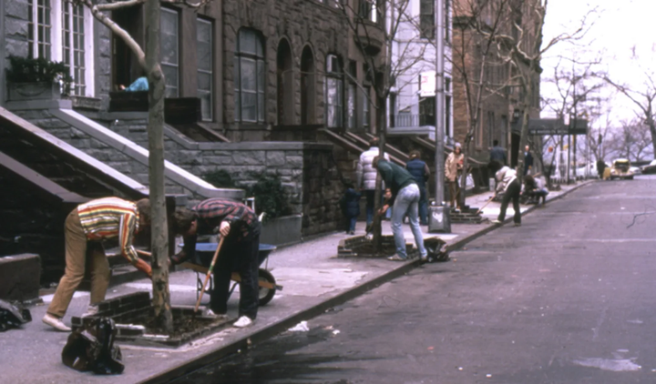 Take inspiration from ‘70s New Yorkers and get really into trees this spring