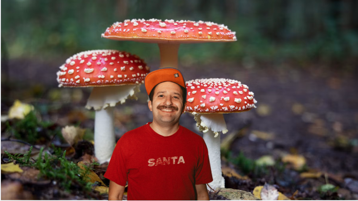 Regarding the mushrooms that grew on my bathroom ceiling