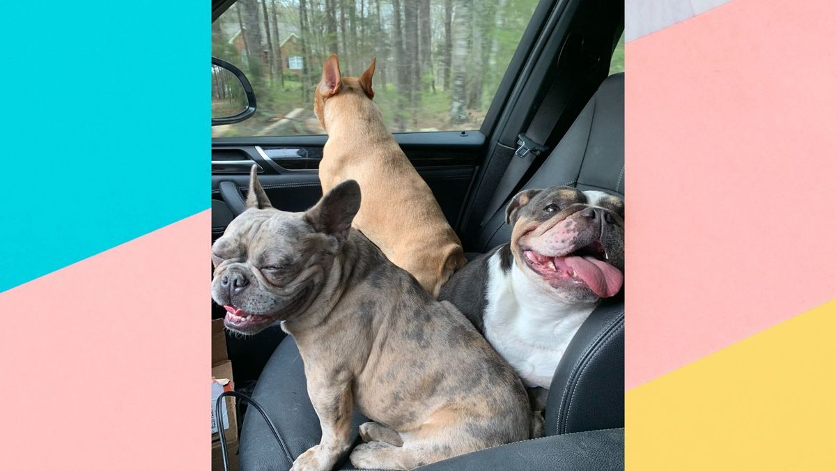 We are all feeling a great deal of relief since finding you all!