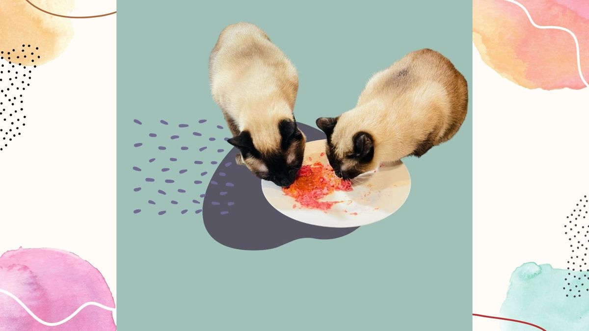 You are all really lovely people and a great company!