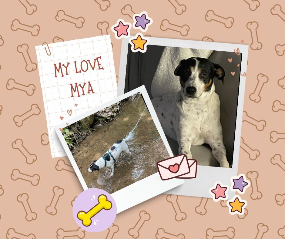 I have complete and unwavering trust in Rebel Raw