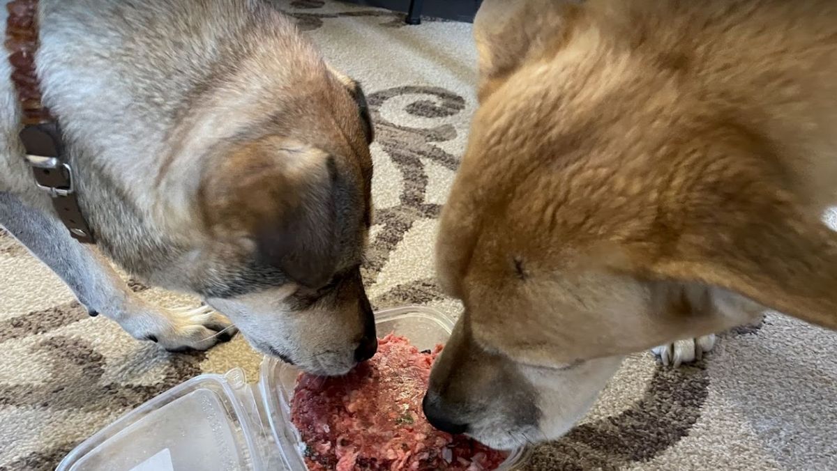 I am so impressed with this company