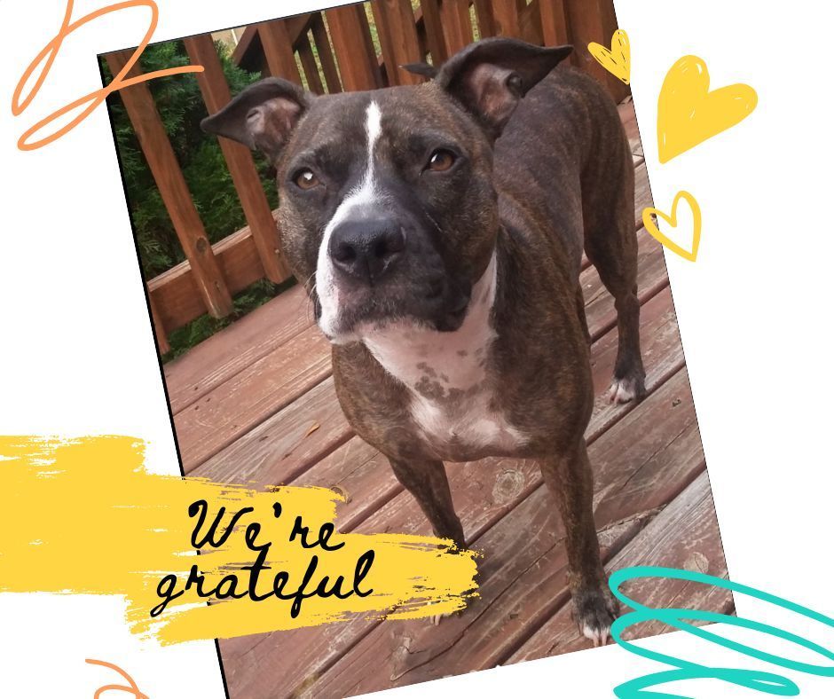 So grateful to have a local business with owners to take pride