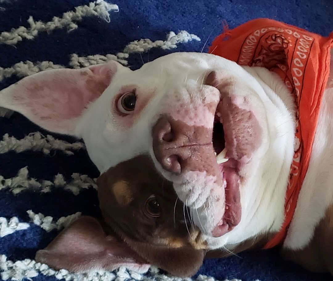 Thank you Team Rebel!