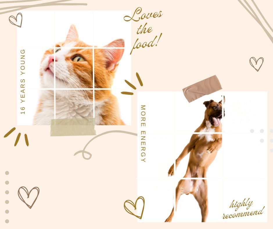 The results speak for themselves