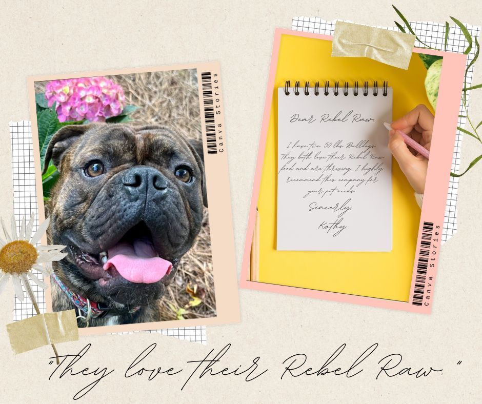 They both love their Rebel Raw food and are thriving