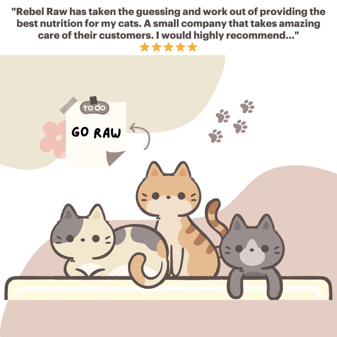 Friendly and perfect for cats transitioning to a carnivore diet