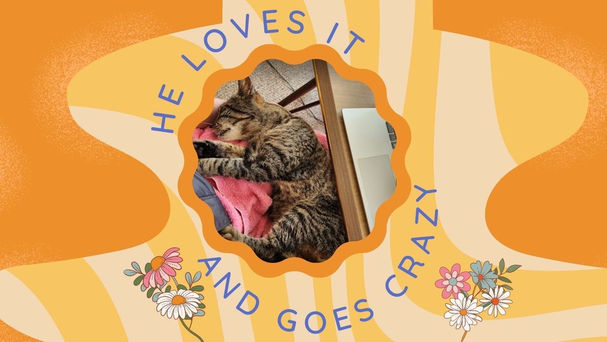 He loves it and goes crazy for feeding time now