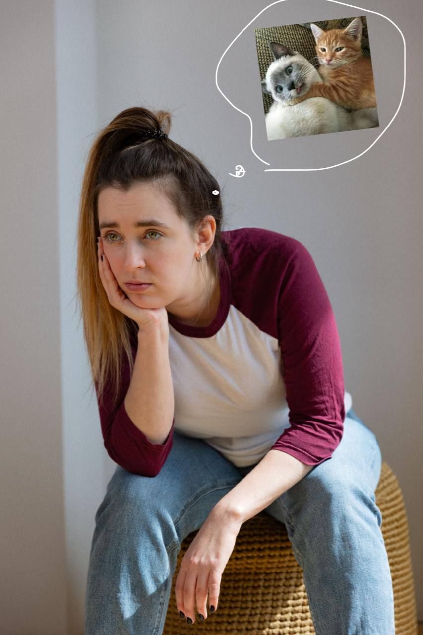 Dear Therapist, Tamara is bullying my Upwork work.