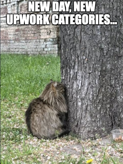 Upwork new categories structure 2025. Full structure