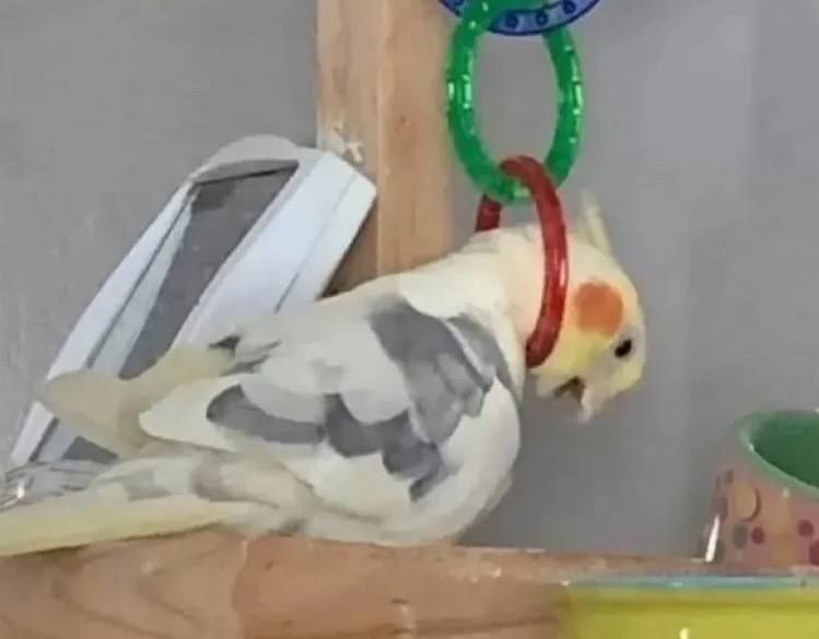 Upwork verification call. What questions to expect?