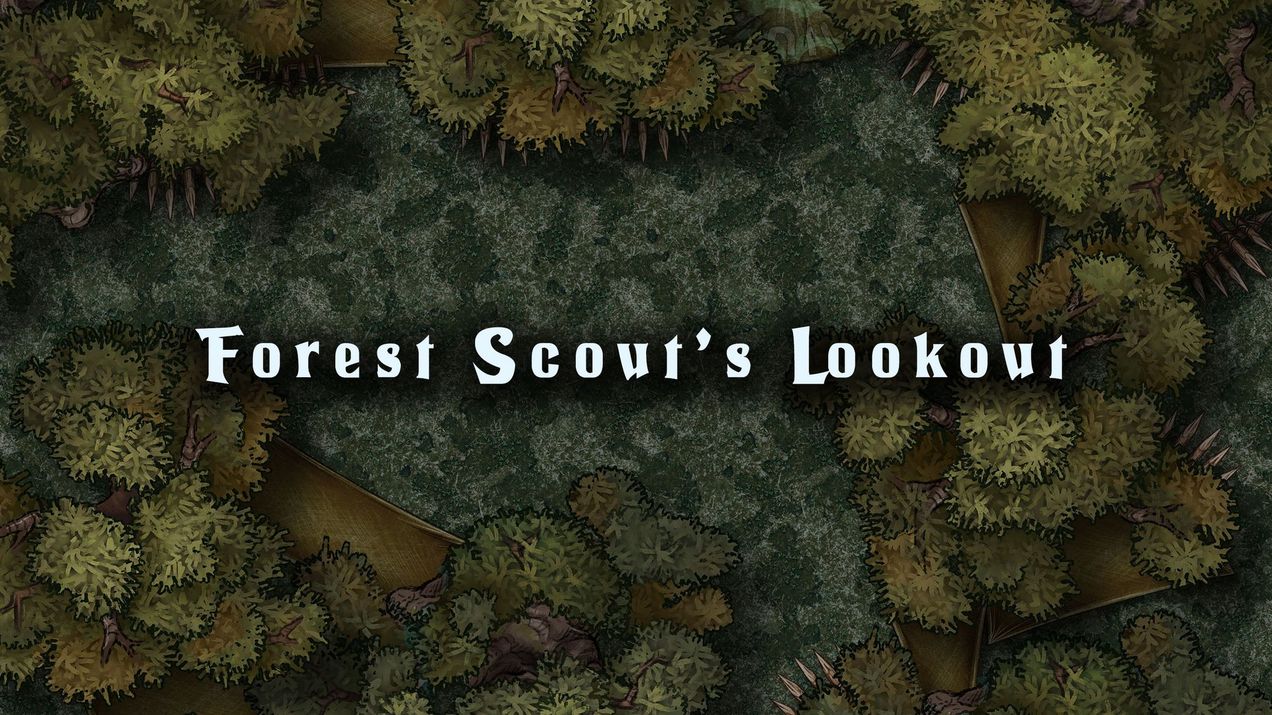 Any world forest scout's lookout