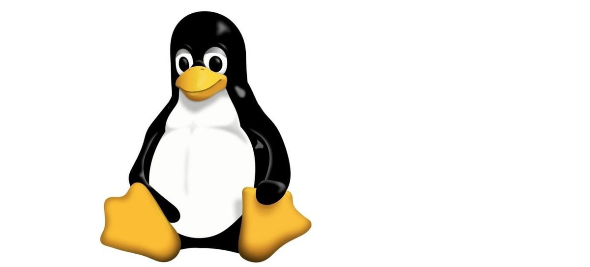 Securing Linux Distros Part 1