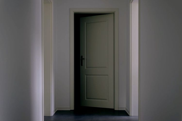 The Door