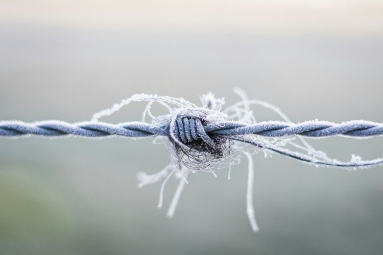 Outstripped