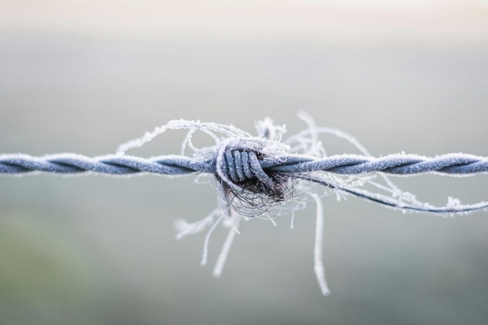 Outstripped