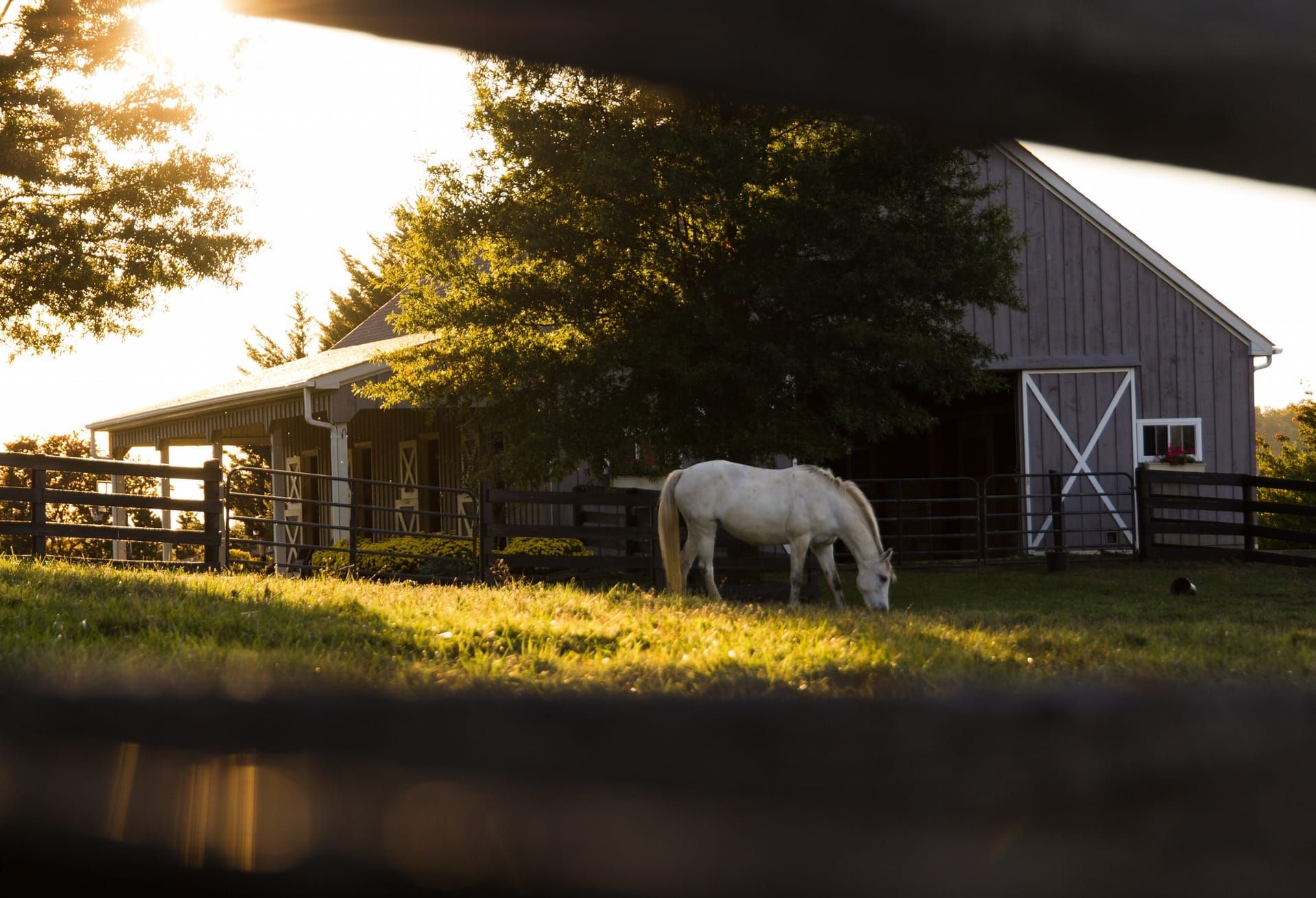 Rent-Sharing Farm Trusts: A Commons-Based Way