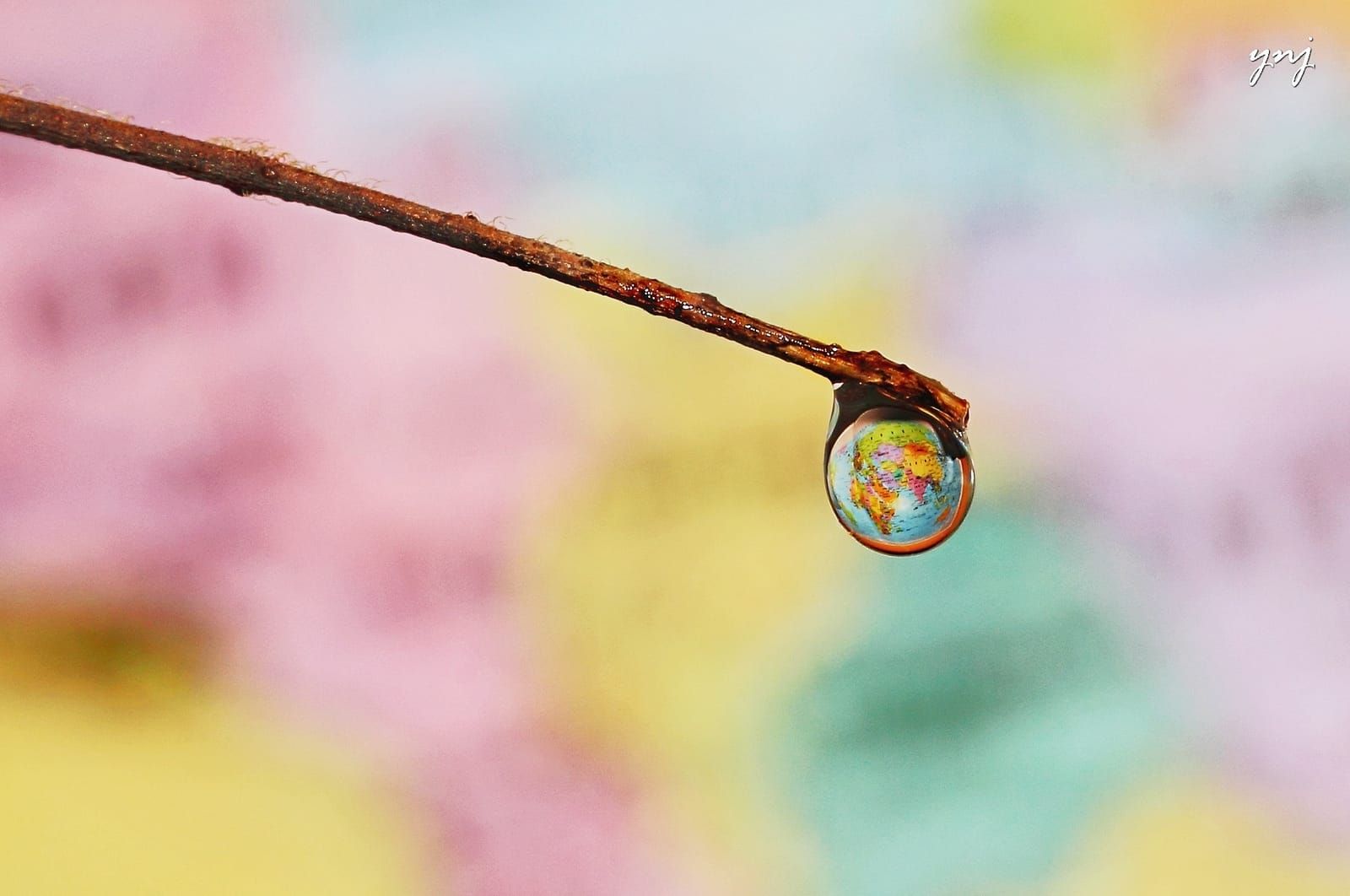Trickle-Down Economics