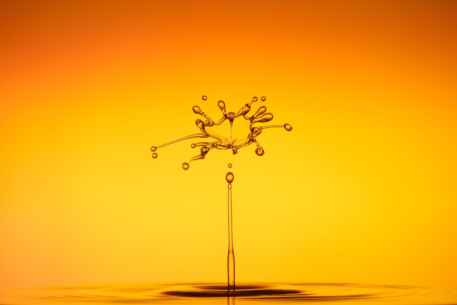Trickle Up? Trickle Down? Or Should Surplus Trickle Out?